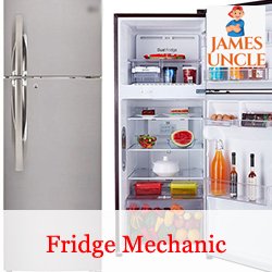 Fridge mechanic Mr. Goutam Nag in Madhyamgram